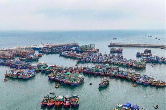 UBND đặc khu được quyết định các biện pháp quản lý, sử dụng hiệu quả đất đai, tài nguyên