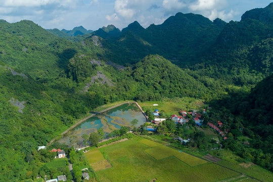 Trải nghiệm 10 km xuyên rừng tại Cát Bà