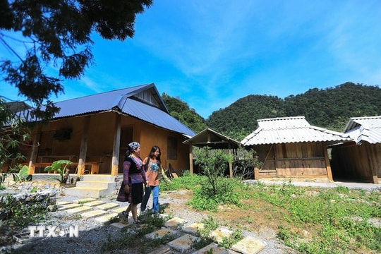Người Mông Pà Cò giữ rừng để phát triển du lịch bền vững