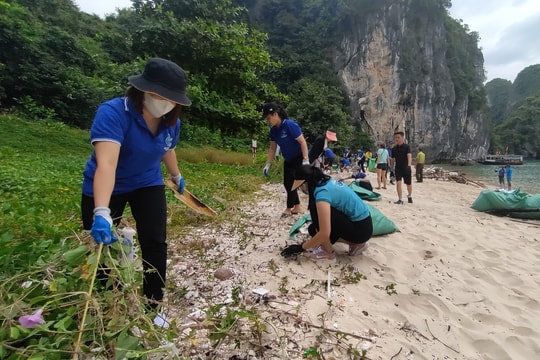 Chung tay gìn giữ Cát Bà xanh