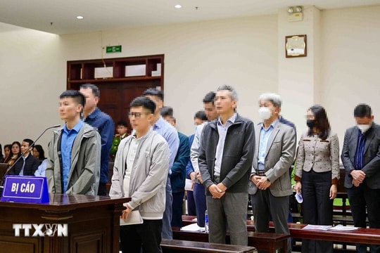 Xét xử phúc thẩm vụ Tập đoàn Thuận An, các bị cáo xin giảm nhẹ hình phạt