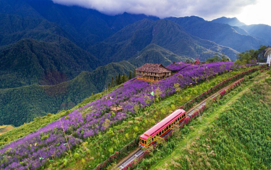 Top 3 khách sạn 5 sao tại Sa Pa được du khách yêu thích theo Traveloka