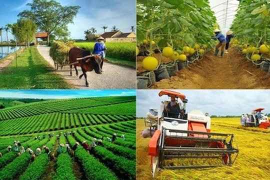 Ký kết gói tài chính 250 triệu USD hỗ trợ nông nghiệp bền vững, nữ chủ doanh nghiệp