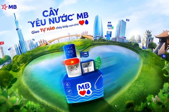 Chương trình 'Cây yêu nước' phủ xanh hơn 300 chi nhánh MB: Gieo tự hào chảy khắp non sông