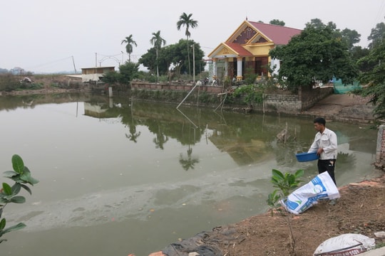 Thủy sản nước ngọt - nhiều lợi thế nhưng hiệu quả còn thấp