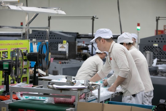 Hai Phong businesses promote green production