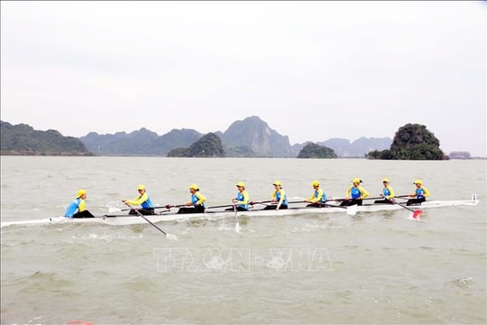 Hơn 500 vận động viên tham gia giải đua thuyền quốc gia năm 2025