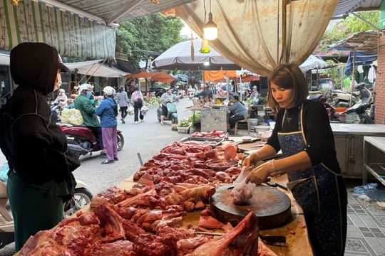 Giá lợn hơi tại Hải Phòng tăng trở lại