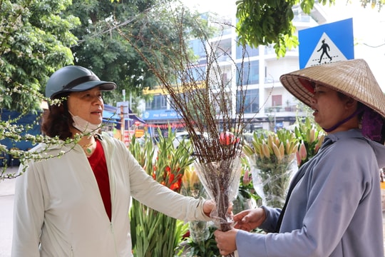 Hoa Tết 'xuống phố' sớm