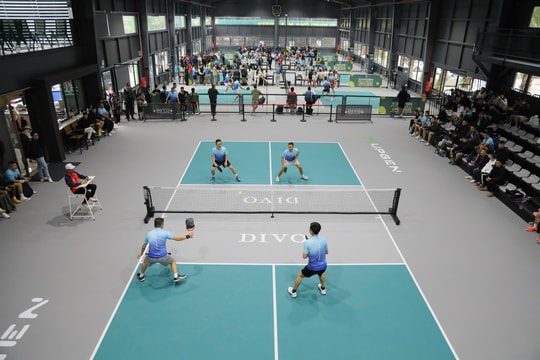 Sức hút từ EcoRivers Pickleball Open 2025
