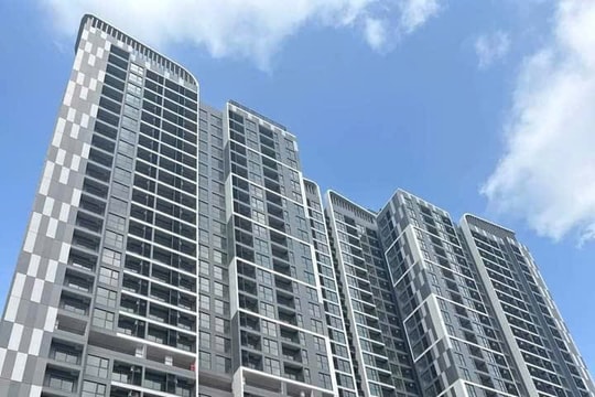 Năm đáng nhớ của thị trường bất động sản Việt Nam
