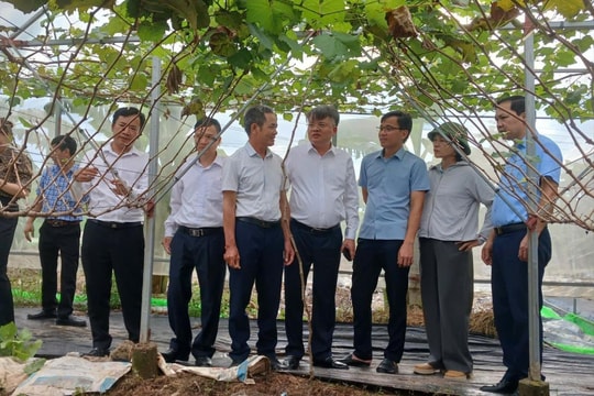 Đồng hành với nông dân phát triển nông nghiệp sinh thái, nông thôn hiện đại