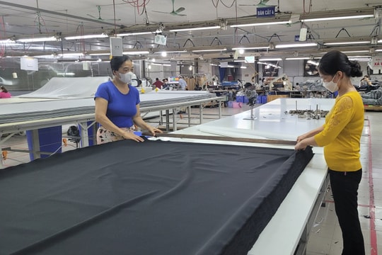 Hải Phòng tăng kết nối, giúp công nghiệp hỗ trợ bứt phá