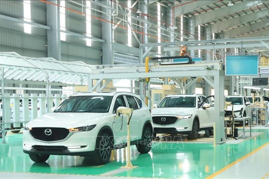 Năm 2026, xe xanh dẫn dắt 'cuộc đua' tại thị trường ô tô Việt Nam
