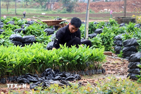 Đối tượng nào không chịu thuế giá trị gia tăng?