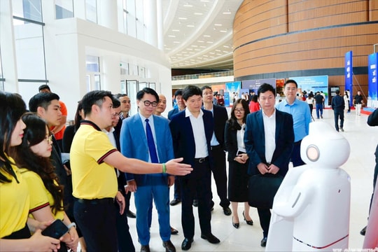 Dẫn đầu cả nước, Hải Phòng đạt trạng thái 'xanh' trong thực hiện Nghị quyết 57