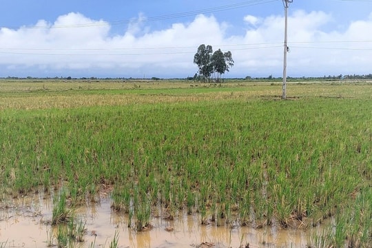 Chuẩn bị khởi công khu công nghiệp Vinh Quang rộng hơn 164 ha