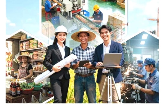 Hải Phòng được chọn ra quân Tổng điều tra kinh tế năm 2026