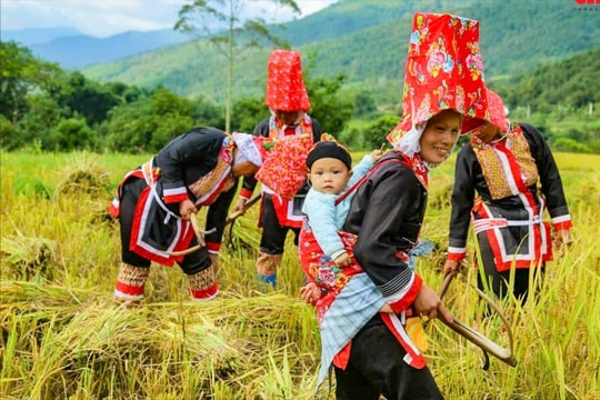 Khai thác giá trị văn hóa dân tộc để xây dựng thương hiệu du lịch cộng đồng Bình Liêu