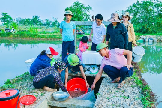 Vùng rươi Chí Minh được mùa, được giá