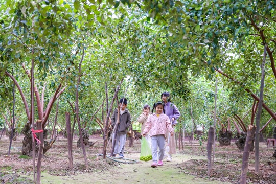 Động lực phát triển du lịch xanh