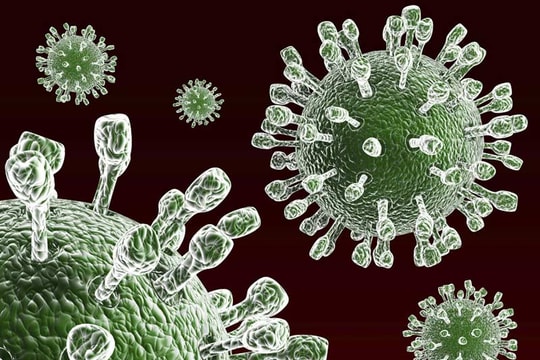 Trẻ em Hải Phòng dưới 1 tuổi được uống vaccine Rota miễn phí từ năm 2026