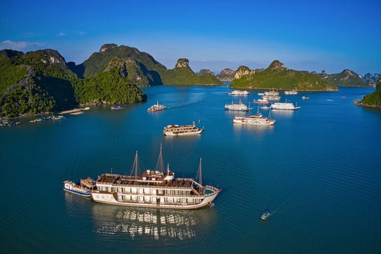 Tăng cường bảo đảm an toàn, bảo vệ môi trường tại di sản thiên nhiên thế giới Cát Bà