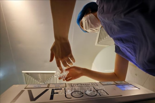 Công nghệ trẻ hóa trứng mở ra hy vọng mới cho phụ nữ lớn tuổi làm IVF