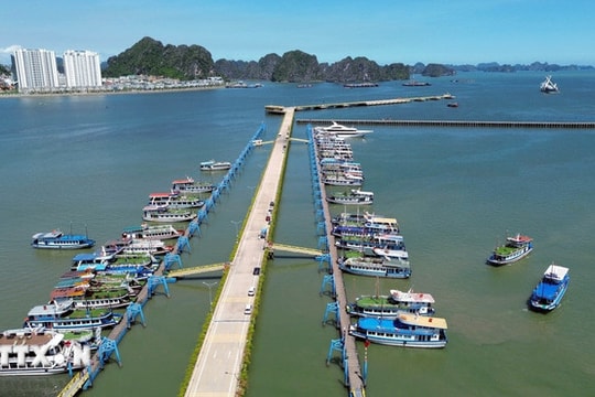 Du thuyền “made in Vietnam” ra khơi nhưng chậm nhịp tại thị trường trong nước