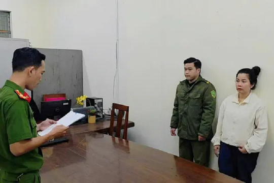 Triệt phá đường dây buôn lậu tôm hùm giống trị giá hơn 6 tỷ đồng