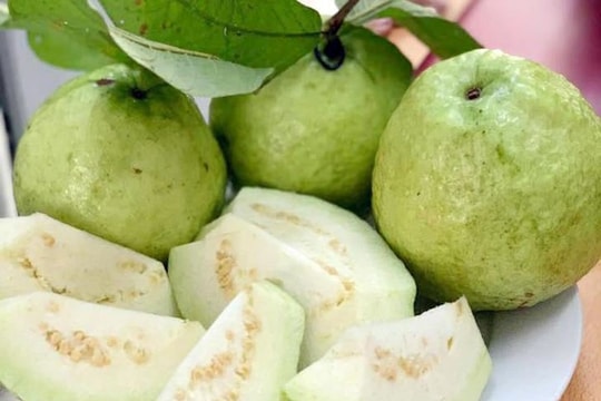Ăn ổi mỗi ngày giúp tăng sức đề kháng vào mùa lạnh