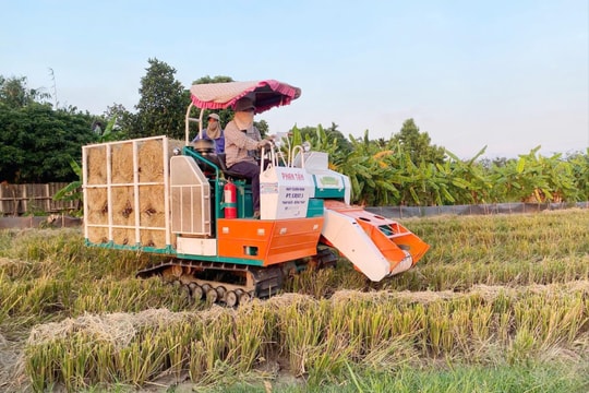 Người dân xã Đại Sơn phất lên nhờ tích tụ ruộng đất