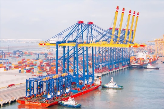 Businesses have high expectations for the Free Trade Zone