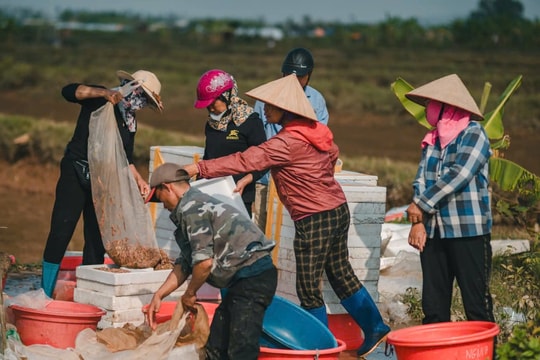 Thêm điểm tựa an sinh bền vững cho người dân