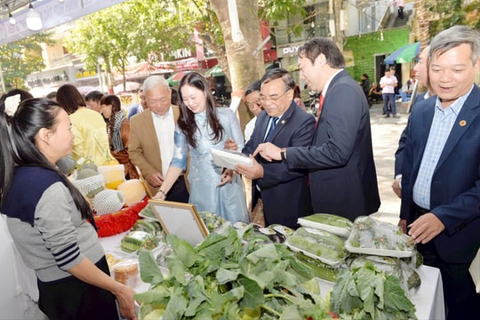 Xây dựng hệ thống vững mạnh, thúc đẩy kinh tế tập thể phát triển trong kỷ nguyên mới