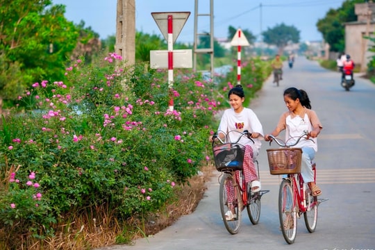 Làng quê rộn ràng chào đón Đại hội Đảng