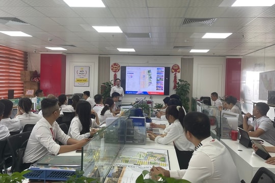 Minh bạch dữ liệu đất đai, nâng cao hiệu quả quản lý thị trường bất động sản