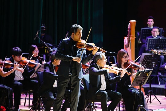 Nghe 'Four Seasons - Spring' qua tiếng violin của nghệ sĩ Bùi Công Duy tại Hải Phòng