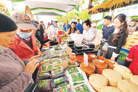 Tổ chức Tết Nguyên đán vui tươi, an toàn, tiết kiệm