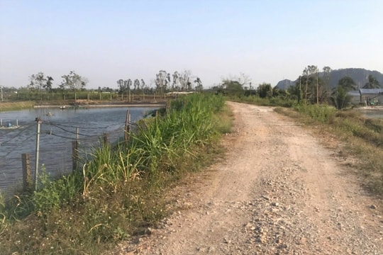 Hải Phòng đầu tư hơn 356,6 tỷ đồng nâng cấp đê hữu các sông Kinh Thầy, Đá Bạc