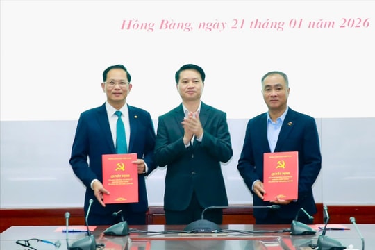 Đảng bộ phường Hồng Bàng tiếp nhận 2 tổ chức đảng với 240 đảng viên