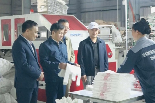 Các khu, cụm công nghiệp tạo động lực phát triển kinh tế - xã hội cho Tiên Lãng
