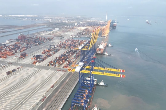 Hateco International Container Port handles over 808,000 TEUs after 11 months