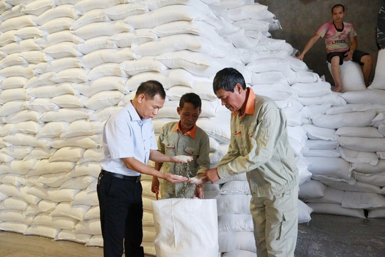 Hơn 4.000 tấn gạo được xuất cấp hỗ trợ nhân dân dịp Tết và giáp hạt
