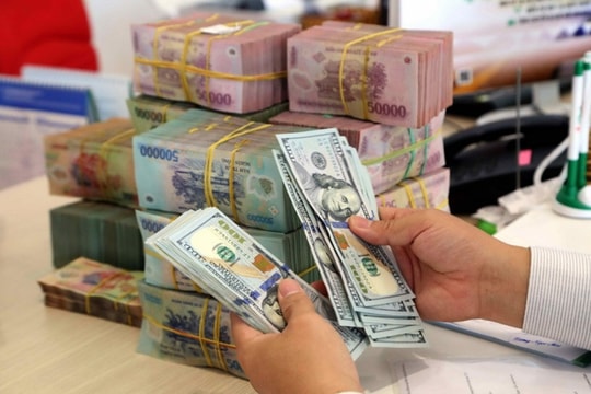 Kiều hối góp phần hỗ trợ an sinh và phát triển kinh tế - xã hội Hải Phòng