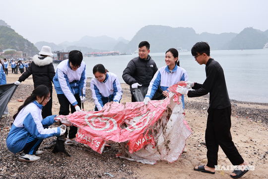 Environmental cleanup campaign in Lan Ha Bay launched