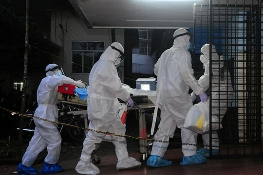 Việt Nam chưa ghi nhận ca mắc virus Nipah, tăng cường giám sát phòng dịch