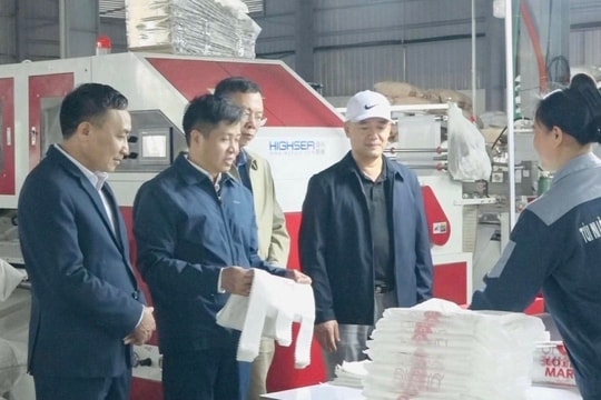 Industrial Zones and clusters drive socio-economic development
