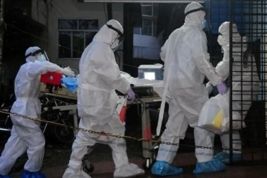 Bộ Y tế ra văn bản hỏa tốc trước nguy cơ virus Nipah xâm nhập Việt Nam