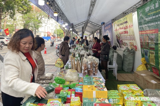 Chương trình 'Mùa xuân đất Cảng' giới thiệu sản phẩm OCOP của 11 địa phương